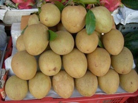 hong-xiem3