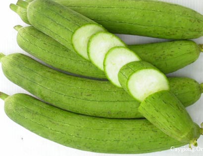 images1112895_qua_muop3